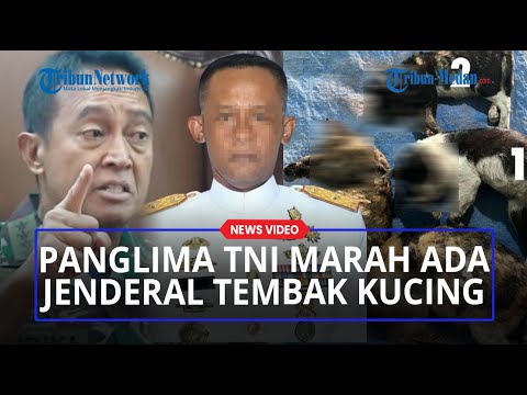JENDERAL ANDIKA PERKASA Marah Besar, Ada Jenderal yang Tega Tembaki Kucing di Sesko TNI!