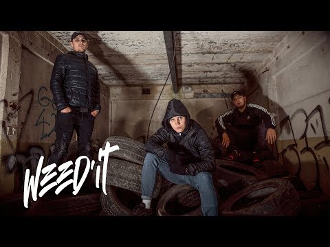Borowy x Nowy Jr. x pyton - WEED'IT