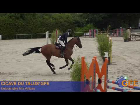 Cicave du Talus*GFE -  Auvers 2016