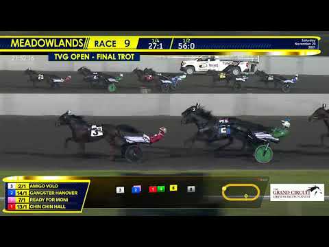 November 20, 2021 - TVG Open Trot - Race 9