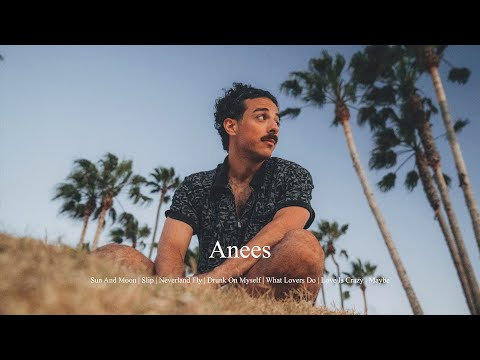 anees playlist