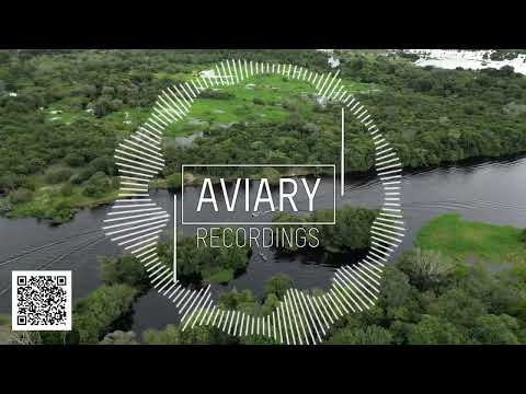 Aves Volare & Heerhorst - Shadows (Original Mix)