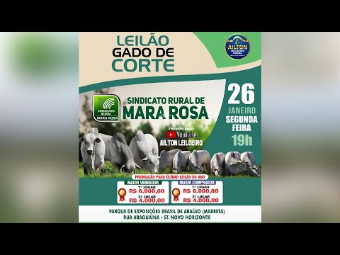 LEILÃO GADO DE CORTE - SINDICATO RURAL DE MARA ROSA 26/01/2026