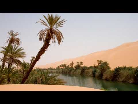 Musicdialogue.world - Musicdialogue.world 09