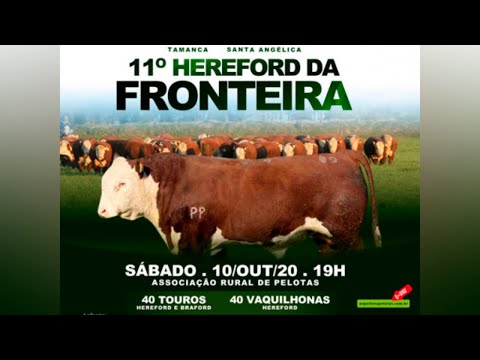 11º Hereford da Fronteira