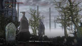 Bloodborne　血質キャラ　血晶石マラソン終わった　3周目