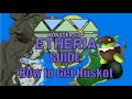 Monsters of Etheria - How to Get Huskot