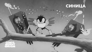 Screenshot preview