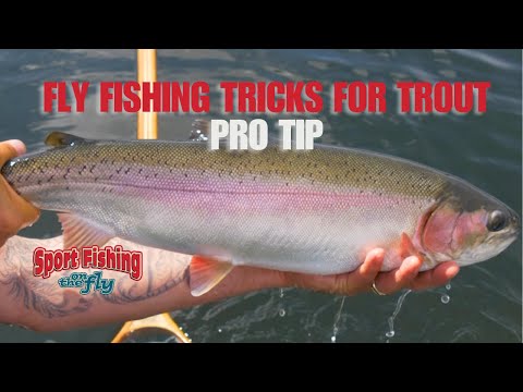 FLY FISHING TRICKS FOR TROUT - PRO TIP: DEEP LINE CHIRONOMID SETUP