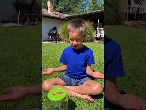 A Butterfly Friend – But Not a Pet! 🦋