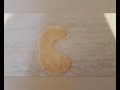 Busy Beavers The Alphabet Song
