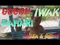 Gogoh Iwak Bahari Sungai Sempadian