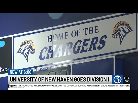 University of New Haven to move up to Division I for all sports