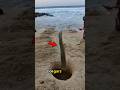Une erreur sur la plage s'est avérée coûteuse 😳