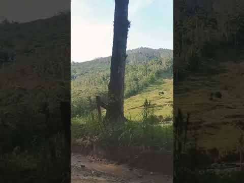 📍 Massaranduba SC #santacatarina #travel #Massaranduba