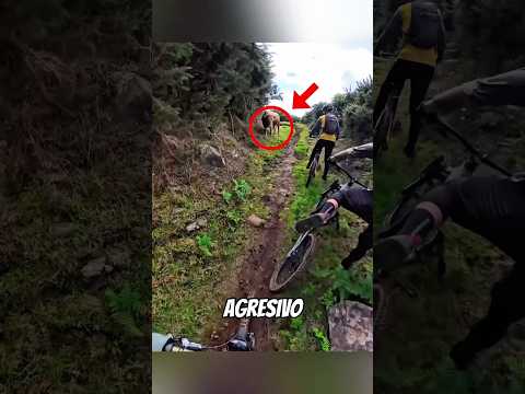 Levantó la Moto… Creyeron que se Iba 🤯