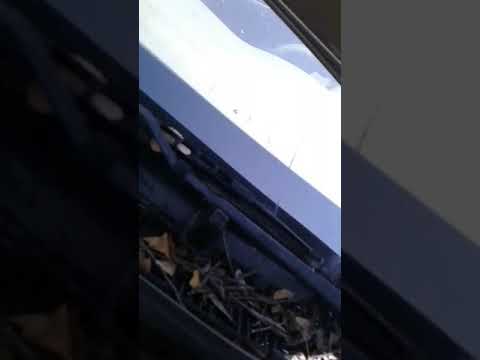 2000 to 2005 Chevy Impala and Monte Carlo brake booster removal