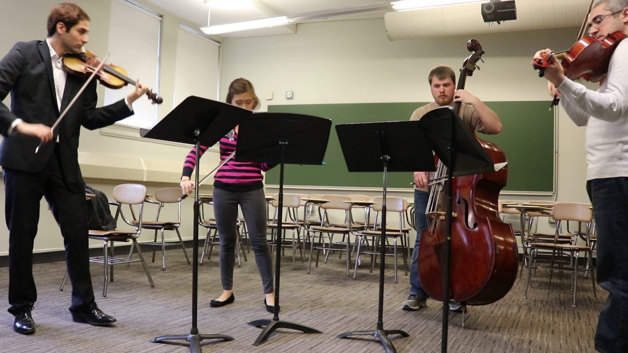 Hire Violinist/Violist Violinist in Chicago, Illinois