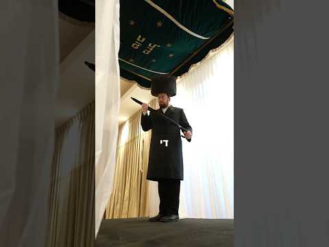What to expect when you open an umbrella under a Chuppah!!