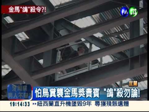 為金馬獎誤槍殺鴿 宜蘭縣府道歉