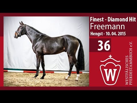 36 Freemann Hengst v. Finest - Diamond Hit