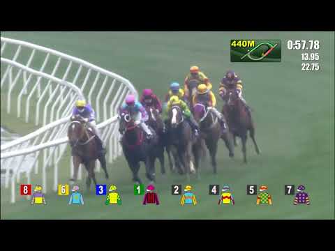 20/2/2022 (436) Wellington - A Badel (G1, The Queen's Silver Jubilee Cup)