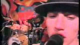 Red Hot Chili Peppers-Stone Cold Bush(Live)
