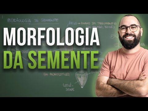 Morfologia da Semente - Aula 23: Botânica | Prof. Guilherme