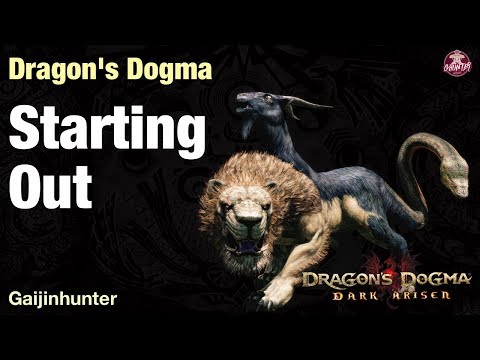 Dragon's Dogma Dark Arisen: Beginner Guide