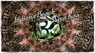 Indiana Beach feat. Shiva Kaa - Talking Trees ·1999·