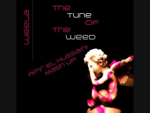 Weela - The Tune Of The Weed (Amr EL Hussaini Mash Up)
