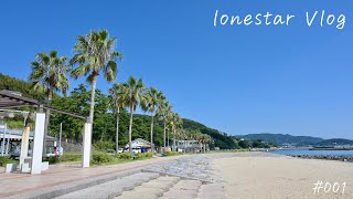 【西尾市】吉良ワイキキビーチで、のんびり過ごした週末を、DJI Pocket 2で撮ってみた【lonestar Vlog #001】