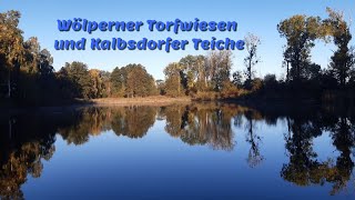 Wölperner Torfwiesen und Kalbsdorfer Teiche
