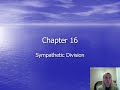 CH 16: Sympathetic Division