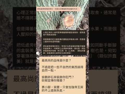 不這樣做祂實在沒辦法／牆壁擋住了牠／天花板遮住牠／修羅要殺死祂／貓頭鷹在樹林／說話／說畫（〈祂在紀錄〉答 半點心 V&eacute;nus des Abribus）
