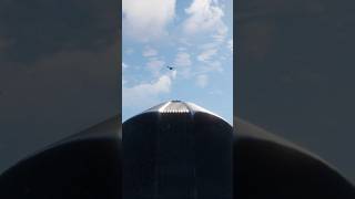 I found a DIAMOND Woodcock! #thehuntercotw #thehunter #cotw #hunting #gaming #shorts #gameplay