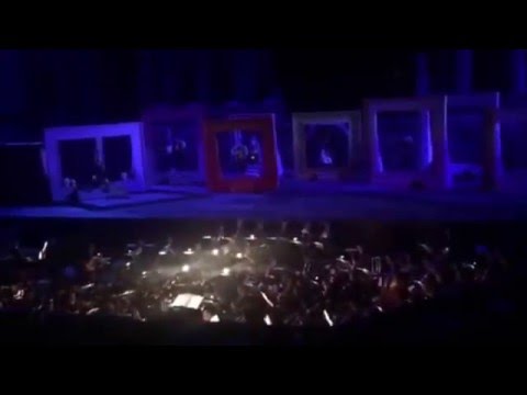 Conductor falls off the stage during Opera.