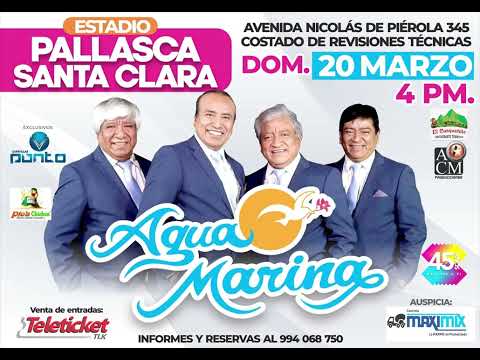 Antología Ft Agua Marina   Falso Amor Video Oficial