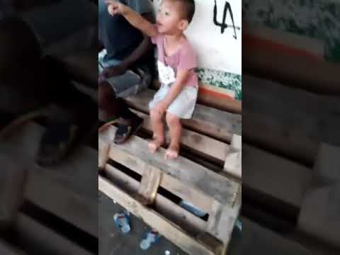 La Guyane en grand 😂