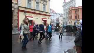Pelikan dance (Pragua)