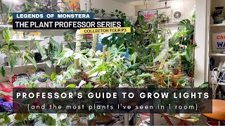 P3. (MUST WATCH FOR MONSTERA OWNERS) Guide to Grow Lights for Indoor Houseplants | Plant Professor