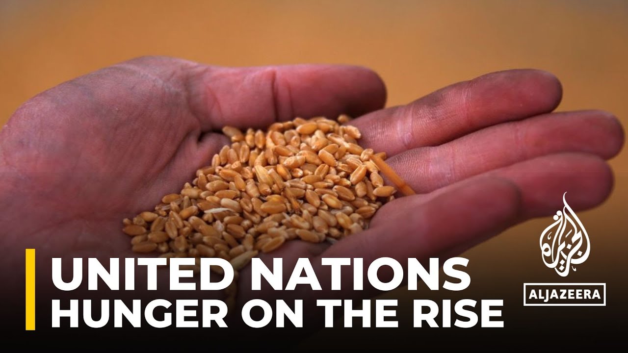 Food security: UN says hunger & malnutrition on the rise