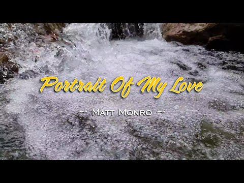 Portrait Of My Love - KARAOKE VERSION - as popularized by Matt Monro