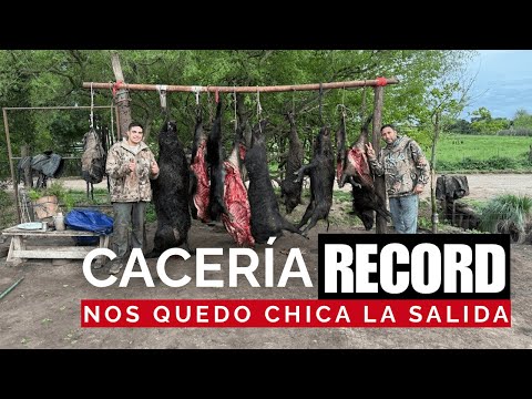 Caza de Jabalí en Gral. Madariaga: ¡Récord de 200kg! (Final Inesperado)