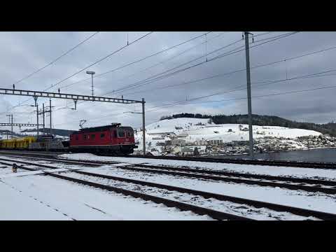 SBB Cargo Re 620 064 mit Kurzgüterzug