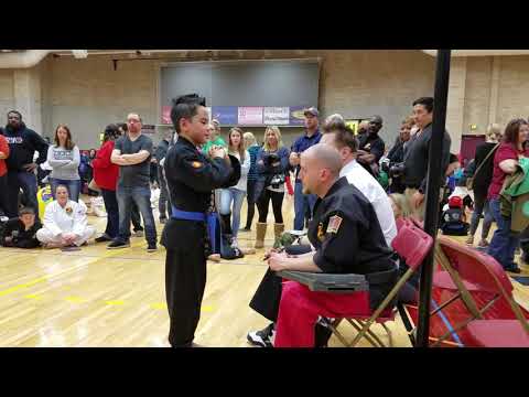 Z-Ultimate Spring 2018 Tournament - Alex's Blue Belt Kata