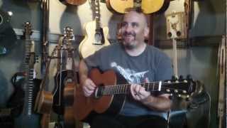 Todd Taylor plays George Lowden F50 in African Blackwood at Bluedog Guitars