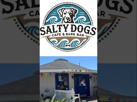 Salty Dogs Cafe & Bark Bar - Holden Beach, NC