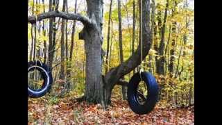 Klaatu ~ Dear Christine (1978)