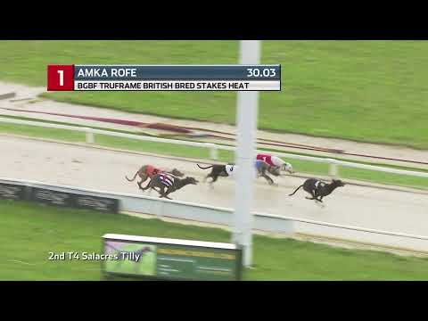 2021 BRITISH BRED STAKES - HEAT 2 - T1 AMKA  ROFE